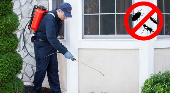 Mudanya Tahtakurusu İlaçlama böcek ilaçlama ve haşere kontrolü — ilaclama-tr.com